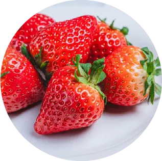 いちごの写真