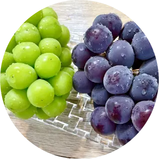 ぶどうの写真