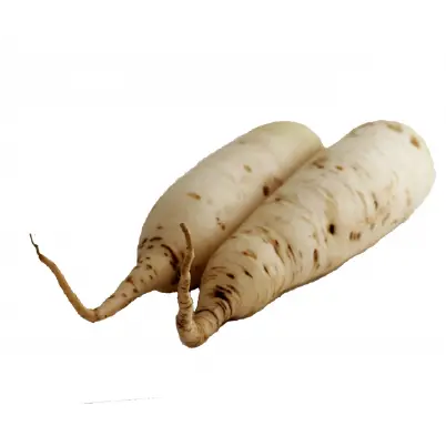 形が崩れた大根の画像