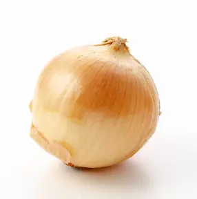 たまねぎの画像