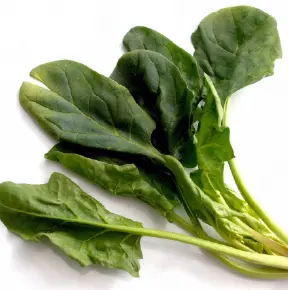 ほうれん草の画像