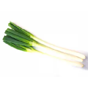 長ねぎの画像