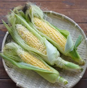 とうもろこしの画像