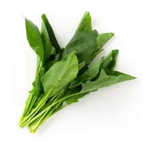 小松菜の画像